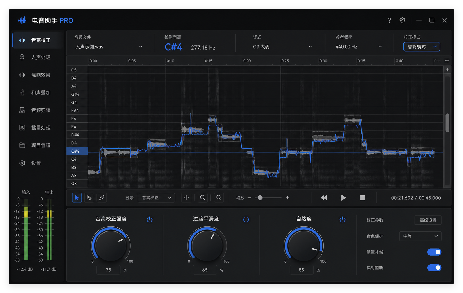 电音助手 PRO 音高校正界面